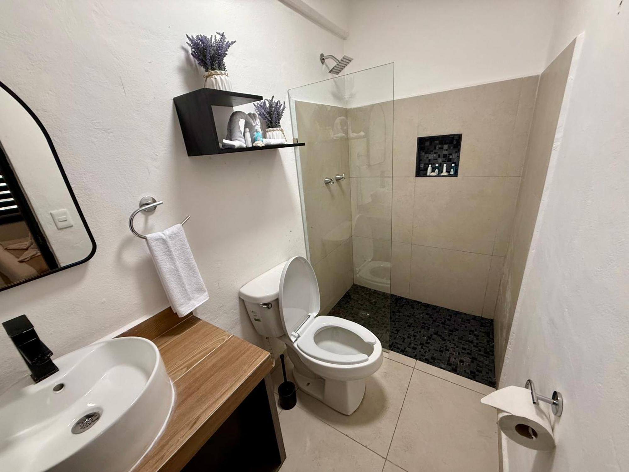 普拉亚卡门 Casa Tortuga 5Th Ave酒店 外观 照片