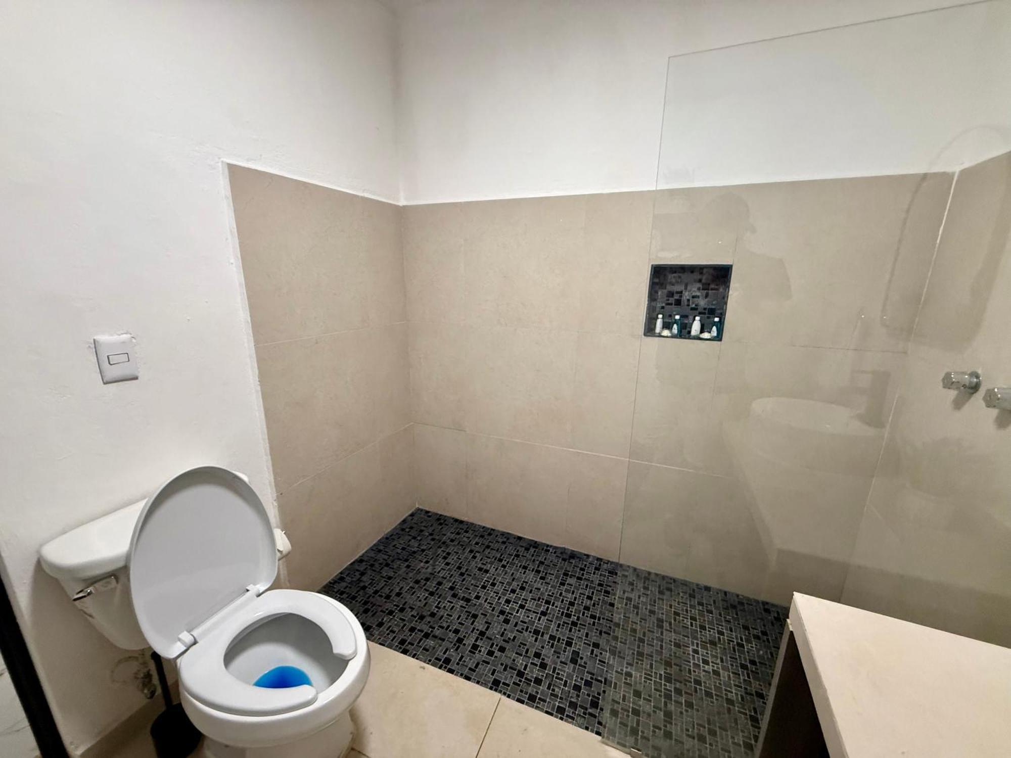 普拉亚卡门 Casa Tortuga 5Th Ave酒店 外观 照片