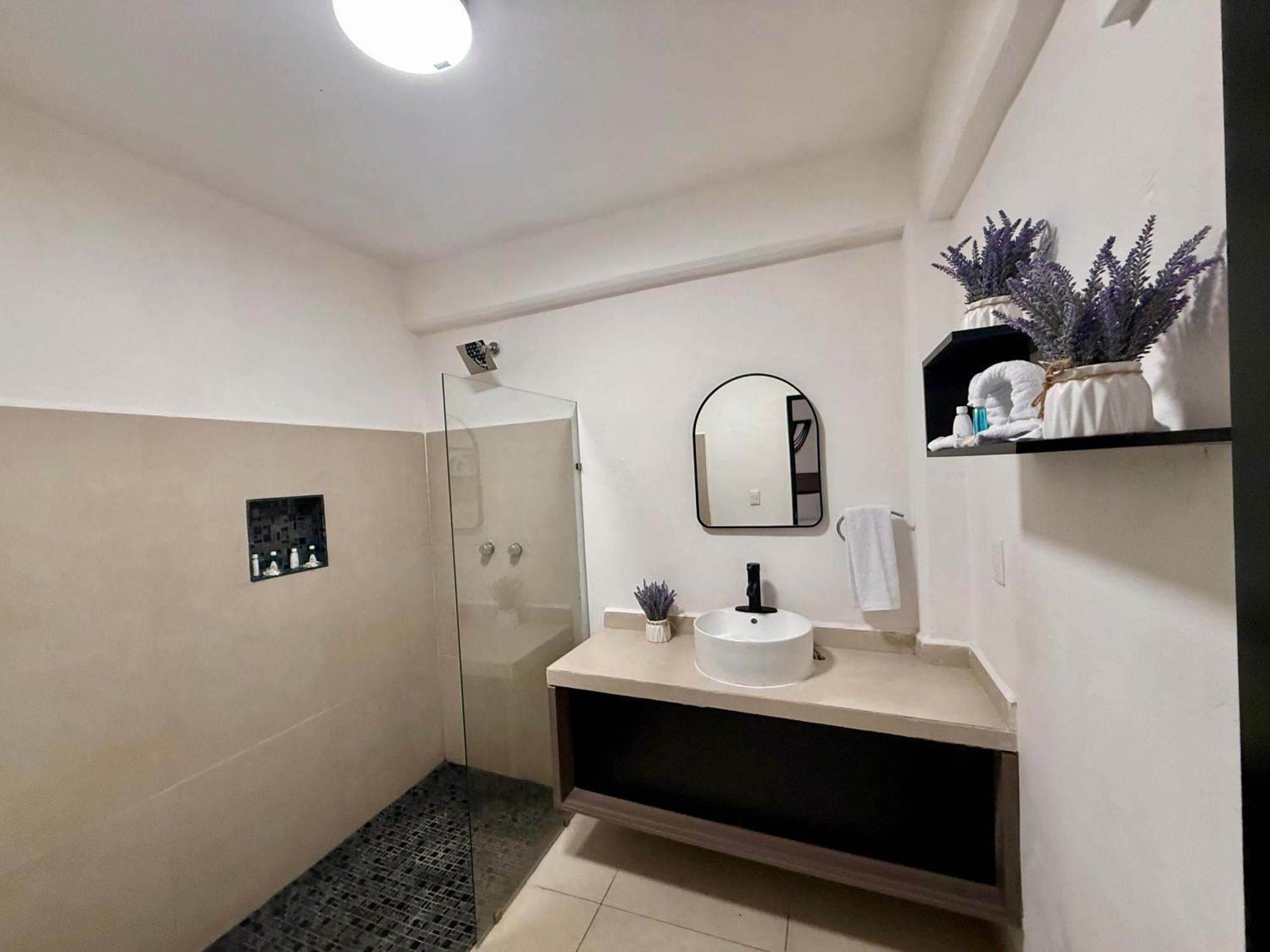 普拉亚卡门 Casa Tortuga 5Th Ave酒店 外观 照片