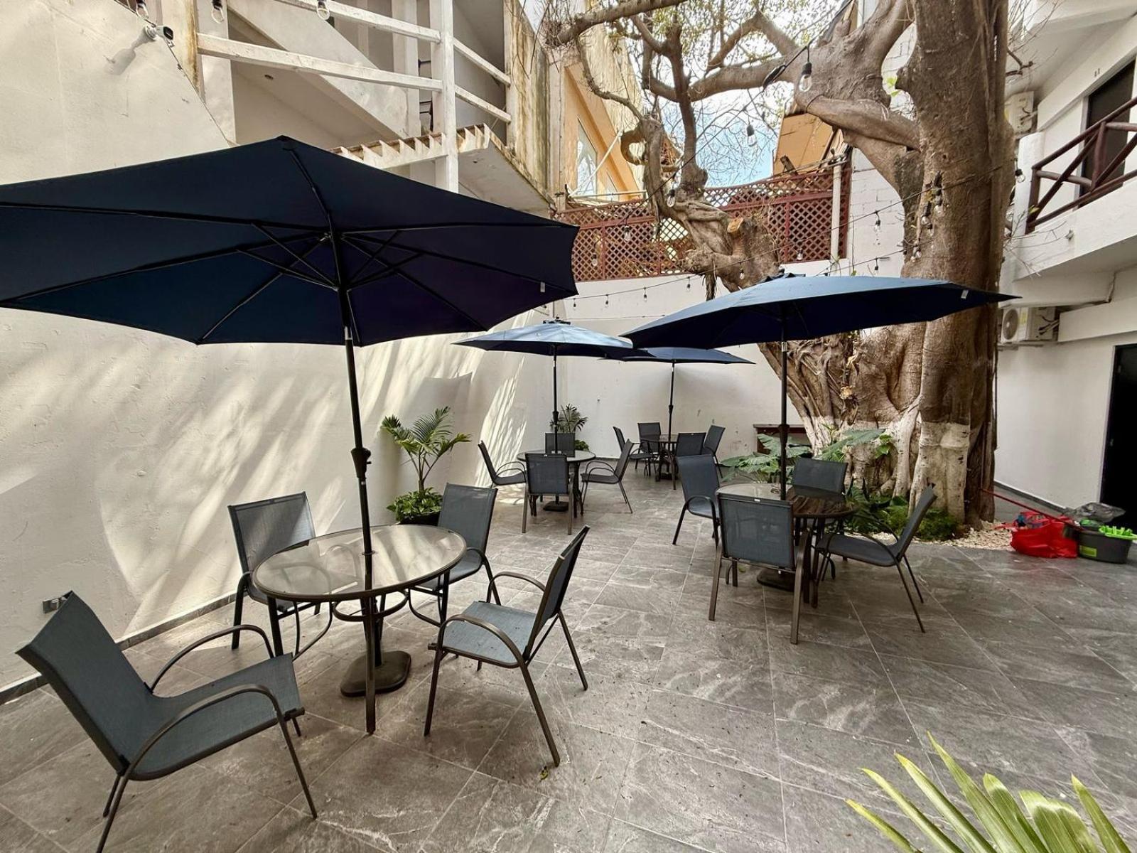 普拉亚卡门 Casa Tortuga 5Th Ave酒店 外观 照片