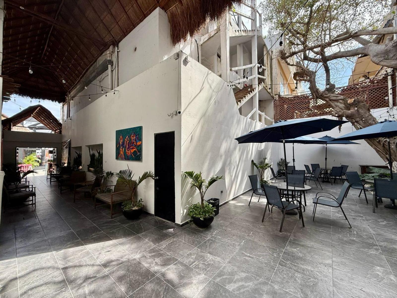 普拉亚卡门 Casa Tortuga 5Th Ave酒店 外观 照片