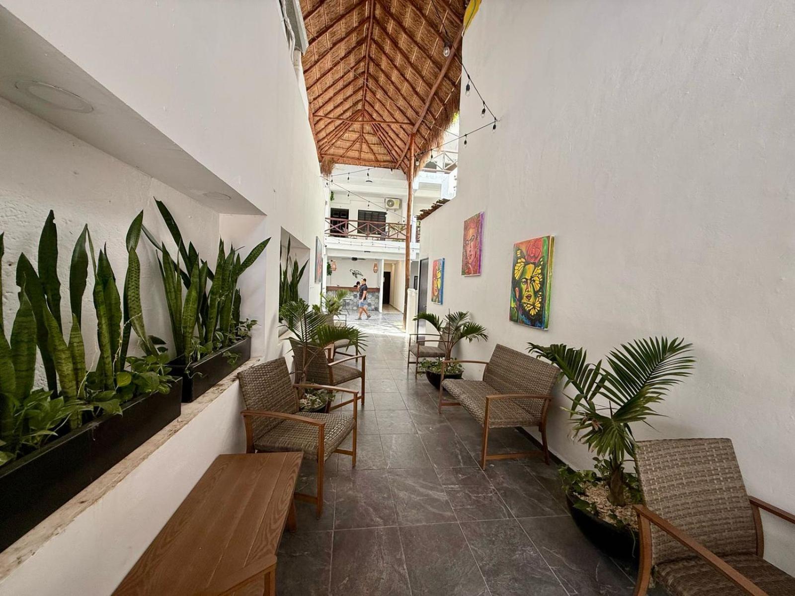 普拉亚卡门 Casa Tortuga 5Th Ave酒店 外观 照片