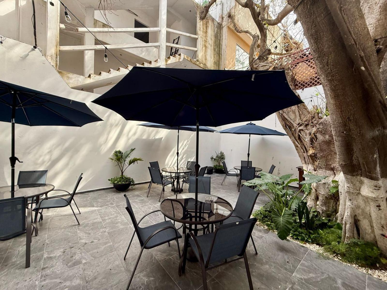 普拉亚卡门 Casa Tortuga 5Th Ave酒店 外观 照片
